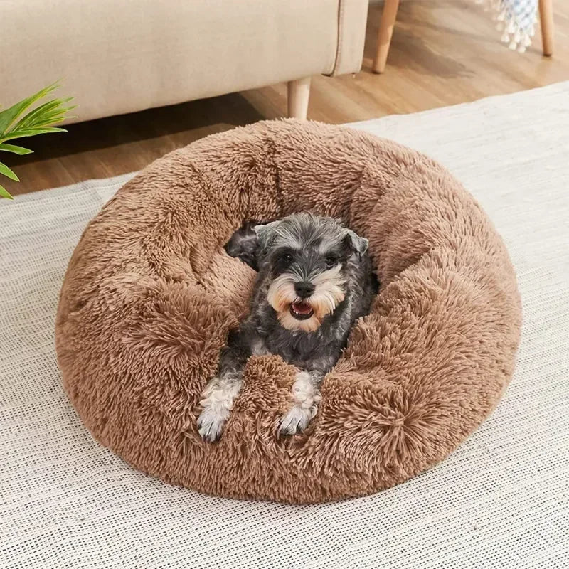 Ultra-Soft Plush Donut Cat Bed β Calming, Washable & Cozy for Deep Sleep