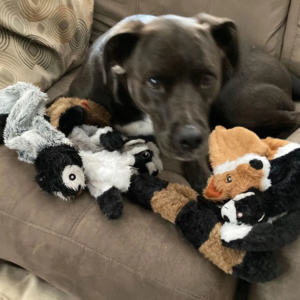 Stuffing-Free Squeaky Animal Dog Toy – Raccoon, Squirrel, Fox & More!