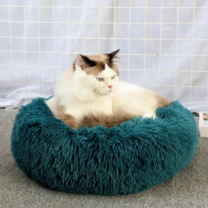 Ultra-Soft Plush Donut Cat Bed β Calming, Washable & Cozy for Deep Sleep