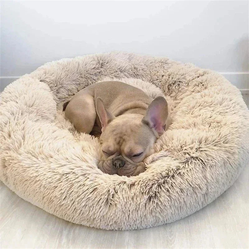 Ultra-Soft Plush Donut Cat Bed β Calming, Washable & Cozy for Deep Sleep