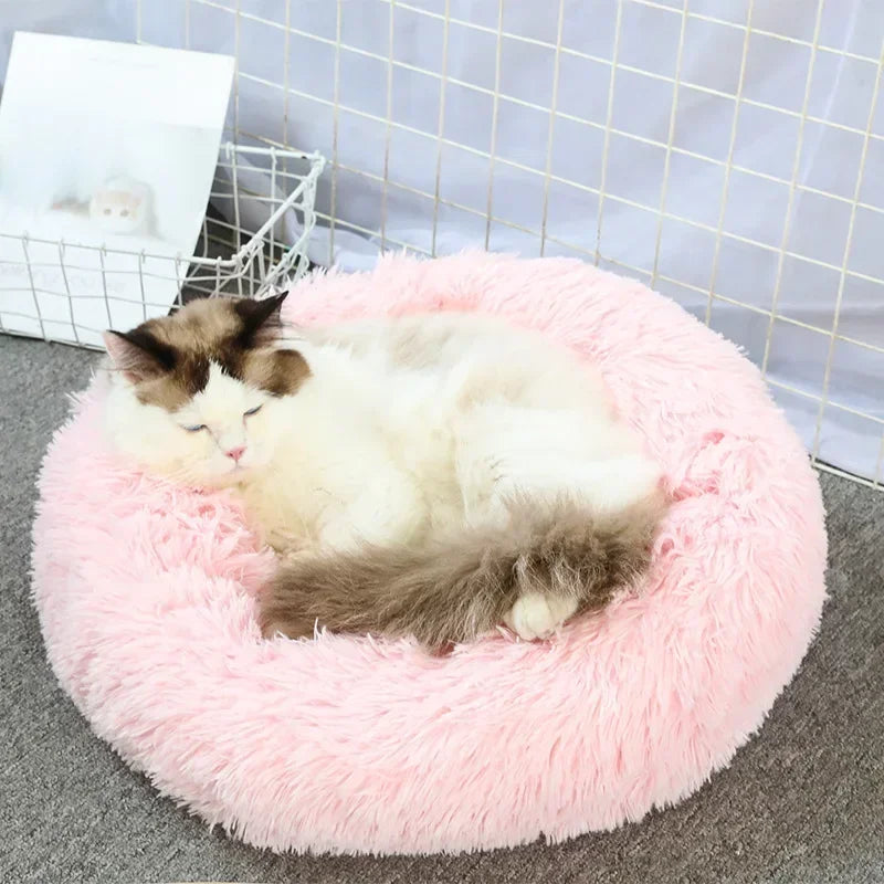 Ultra-Soft Plush Donut Cat Bed β Calming, Washable & Cozy for Deep Sleep