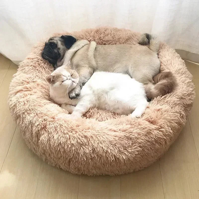 Ultra-Soft Plush Donut Cat Bed β Calming, Washable & Cozy for Deep Sleep