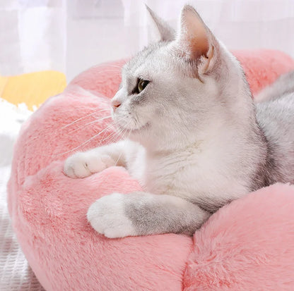 Flower-Shaped Cotton Pet Bed – Comfy, Stylish Sleep Mat for Dogs & Cats (Indoor/Outdoor Use)
