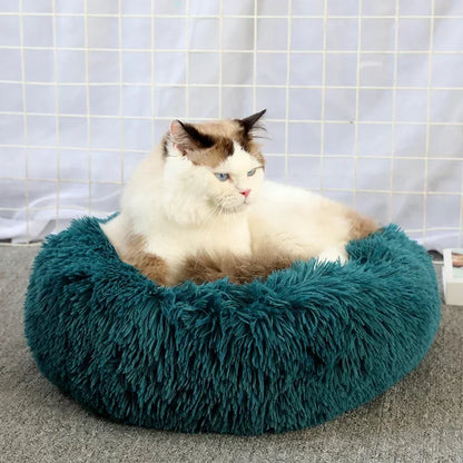 Ultra-Soft Plush Donut Cat Bed – Calming, Washable & Cozy for Deep Sleep