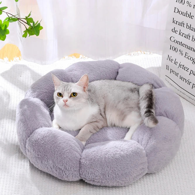 Flower-Shaped Cotton Pet Bed – Comfy, Stylish Sleep Mat for Dogs & Cats (Indoor/Outdoor Use)