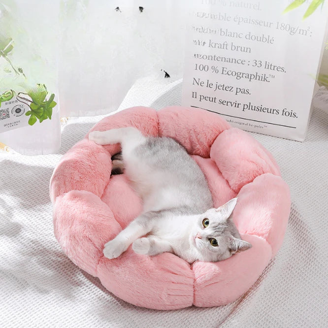 Flower-Shaped Cotton Pet Bed – Comfy, Stylish Sleep Mat for Dogs & Cats (Indoor/Outdoor Use)
