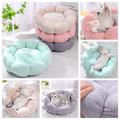 Flower-Shaped Cotton Pet Bed – Comfy, Stylish Sleep Mat for Dogs & Cats (Indoor/Outdoor Use)
