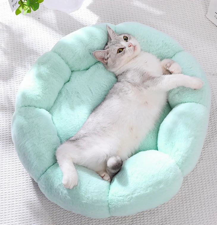 Flower-Shaped Cotton Pet Bed – Comfy, Stylish Sleep Mat for Dogs & Cats (Indoor/Outdoor Use)